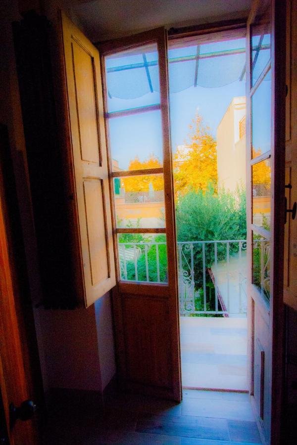 "Sea & Center" Free Beach, Wifi, Mini Pool, Roof Terrace, Ladispoli, Rome מראה חיצוני תמונה
